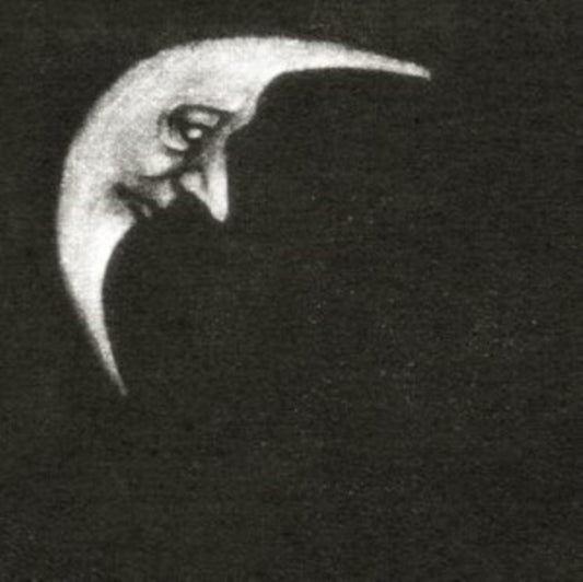 Crippled Black Phoenix - Sceaduhelm + Horrific Honorifics Number Two Point Five (2.5) (CD)