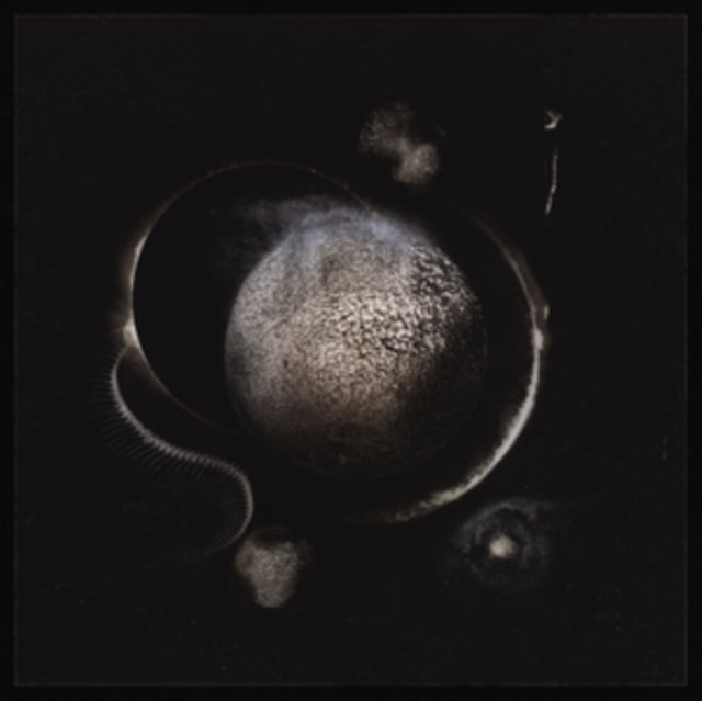 Enthroned - Cold Black Suns (CD)