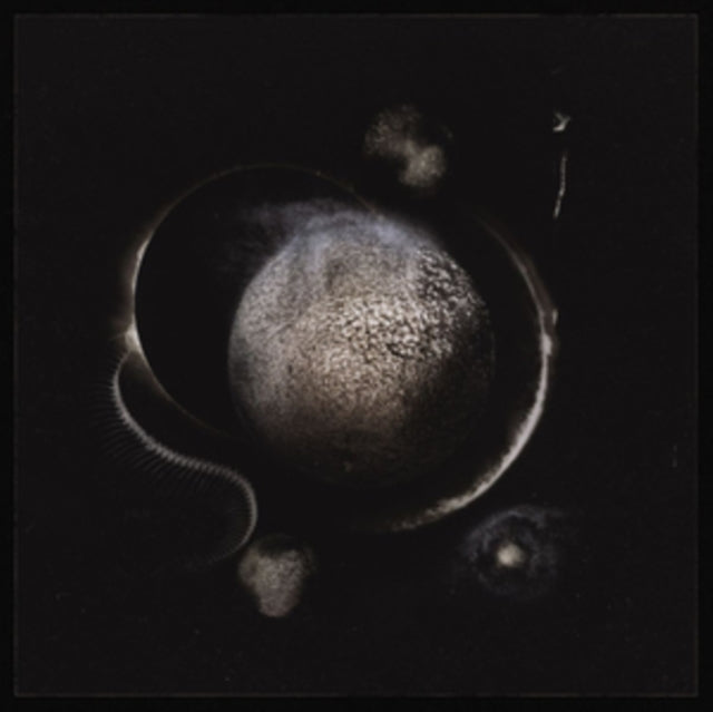 Enthroned - Cold Black Suns (Silver Vinyl) (Vinyl)