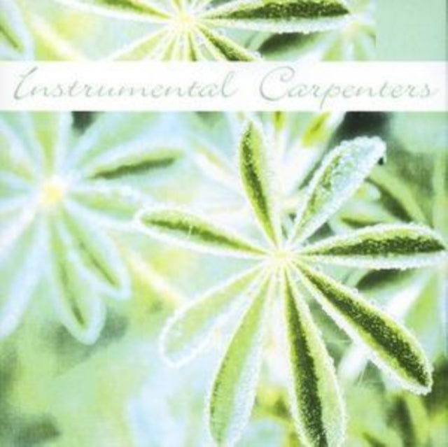 Instrumental Carpenters - Instrumental Carpenters (CD)