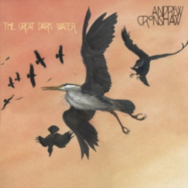 Andrew Cronshaw - The Great Dark Water (CD)