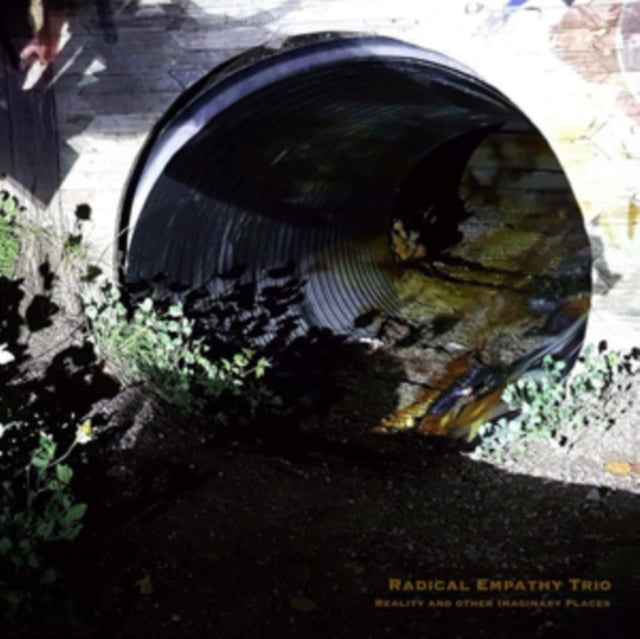 Radical Empathy Trio - Reality And Other Imaginary Places (CD)