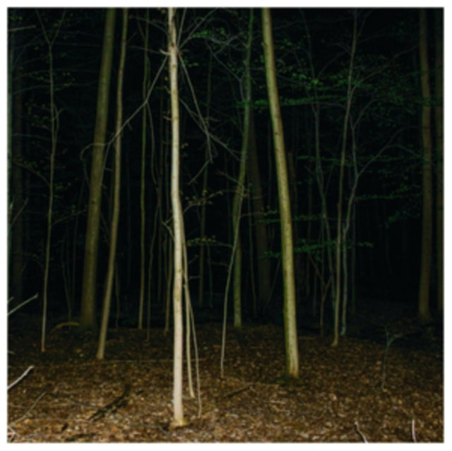 Express Rising - Fixed Rope II (Vinyl)