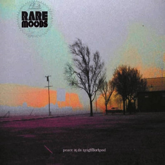Rare Moods - Peace In Da Neighborhood (CD)