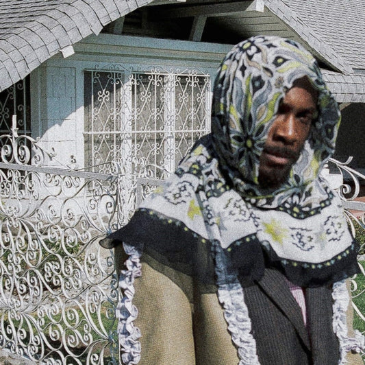 Jpegmafia All My Heroes Are Cornballs (https://lasgo.dmmserver.com/media/640/08428121/0842812118685.jpg)