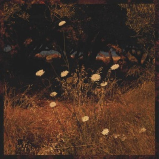 Szun Waves - Earth Patterns (CD)