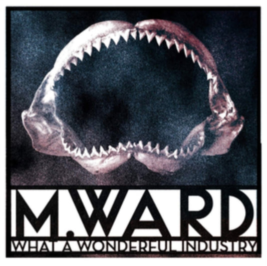 M.Ward - What A Wonderful Industry (Vinyl)