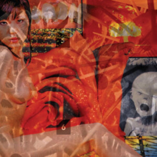 Painjerk - Mission Invisible (CD)