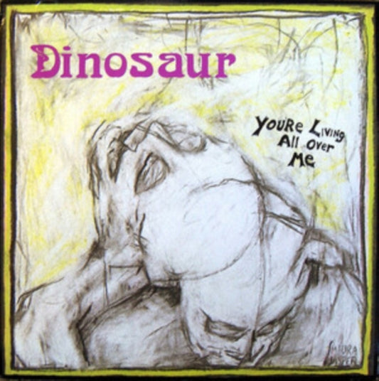 Dinosaur Jr. - Youre Living All Over Me (CD)