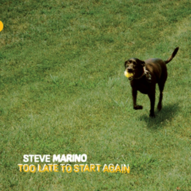 Steve Marino - Too Late To Start Again (Vinyl)