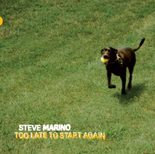 Steve Marino - Too Late To Start Again (Vinyl)