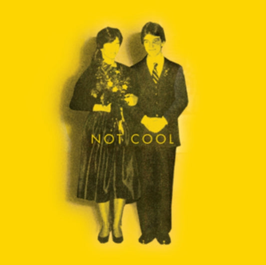 Tim Easton - Not Cool (Vinyl)
