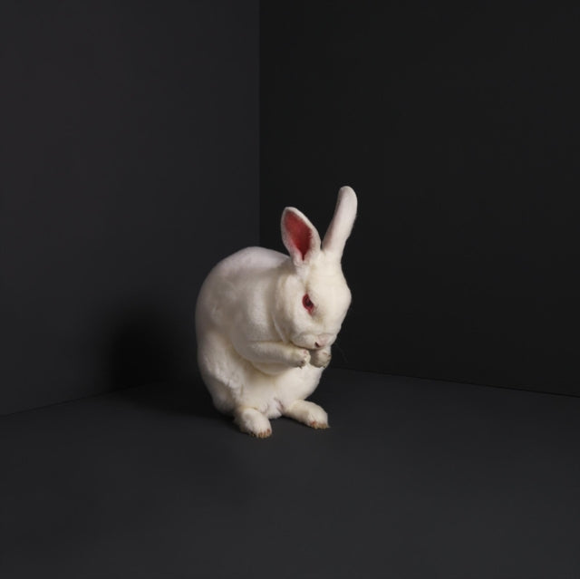 Brume - Rabbits (Vinyl)