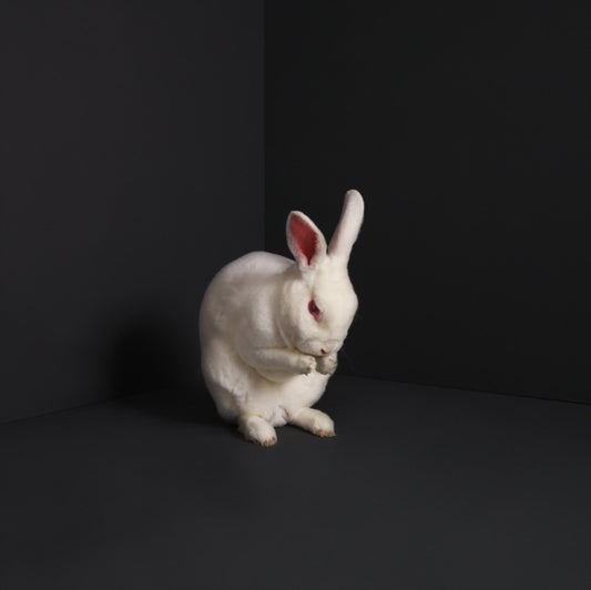 Brume - Rabbits (Vinyl)