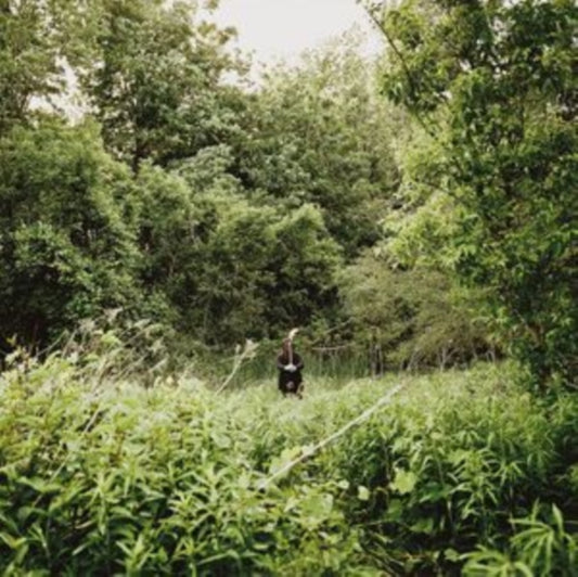 Exalt - Pale Light (Vinyl)