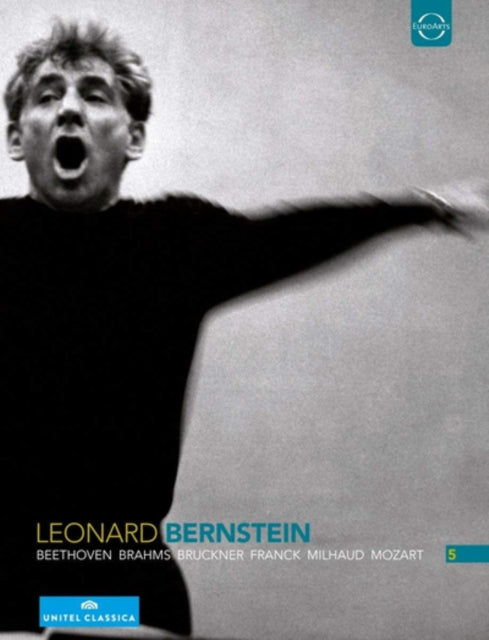 Bernstein Leonard - Leonard Bernstein Anniversary Boxset (DVD)