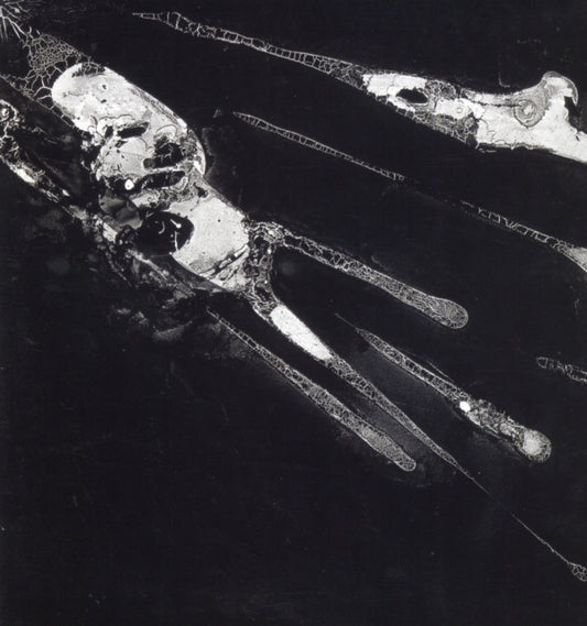 Psychic Health - Psychic Health (Vinyl)
