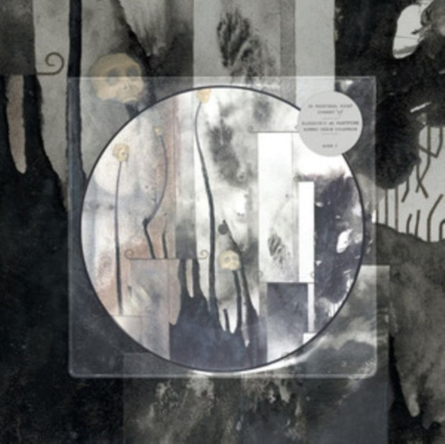 Current 93 - In Menstrual Night (Picture Disc) (Vinyl Single)