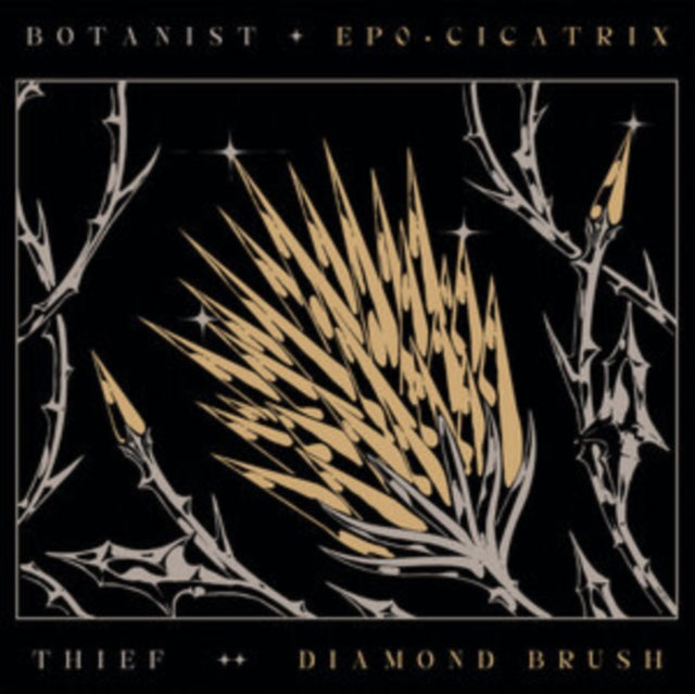 Botanist / Thief - Cicatrix / Diamond Brush (CD)
