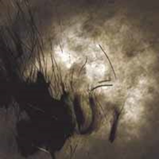 Weird Fate - Cycle Of Naught (CD)