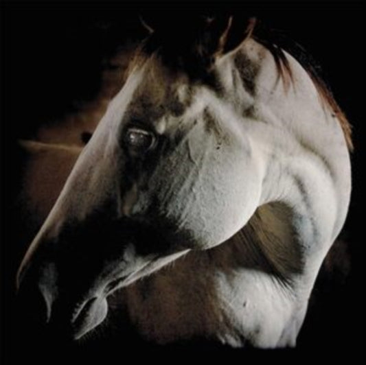 Brother Dege - How To Kill A Horse (CD)