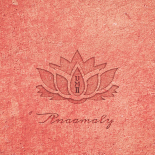 Anaamaly - Urban Metta Vol 2 (CD)