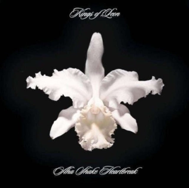 Kings Of Leon - Aha Shake Heartbreak (2Lp/180g/Gatefold) (Vinyl)
