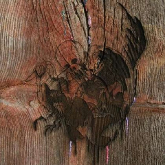 Avey Tares Slasher Flicks - Enter The Slasher House (Vinyl)