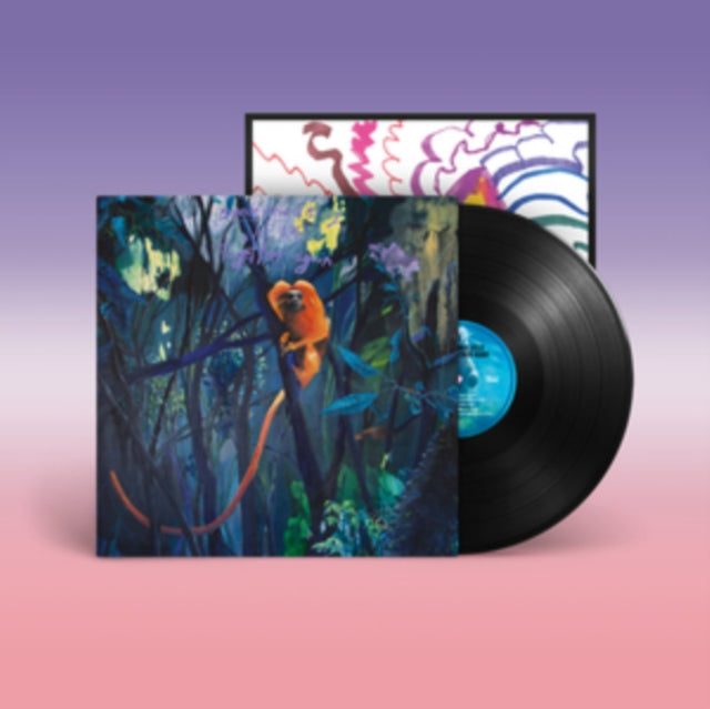 Bonnie Prince Billy - We Are Together Again (Vinyl)