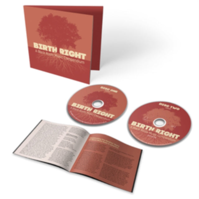 Various Artists - Birthright: A Black Roots Music Compendium (CD)