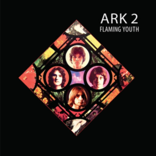 Flaming Youth - Ark 2 (Vinyl)