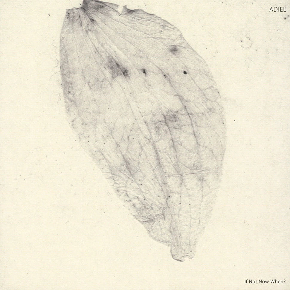 Adiel - If Not Now When? (Vinyl)