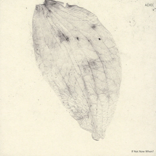 Adiel - If Not Now When? (Vinyl)
