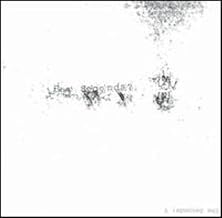 Seconds - Y (CD)