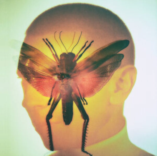 Maelstrom - Rhizome (Vinyl)