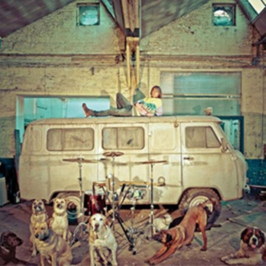 Use - Chien DLa Casse (CD)