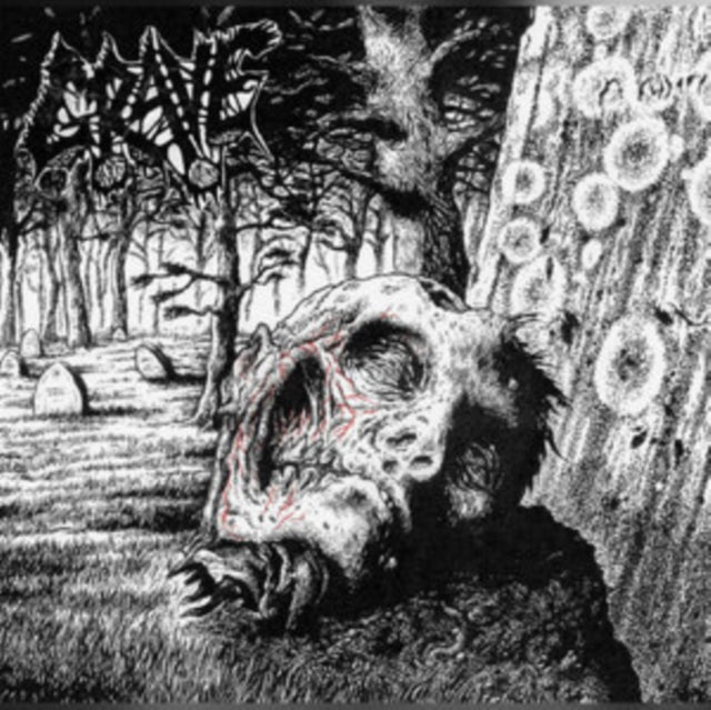 Grave - Necropsy - The Complete Demo Recordings 1986-1991 (Transparent Purple Vinyl) (Vinyl)