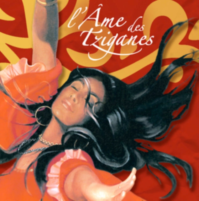 Various Artists - LAme Des Tziganes (CD)