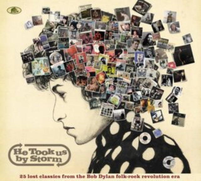 Various Artists - He Took Us By Storm - 25 Lost Classics From The Bob Dylan Folk-Rock Revolution Era (CD)