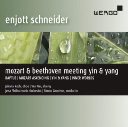 Koch / Wei / Jena Po / Gaudenz - Enjott Schneider: Mozart & Beethoven Meeting Yin & Yang (CD)