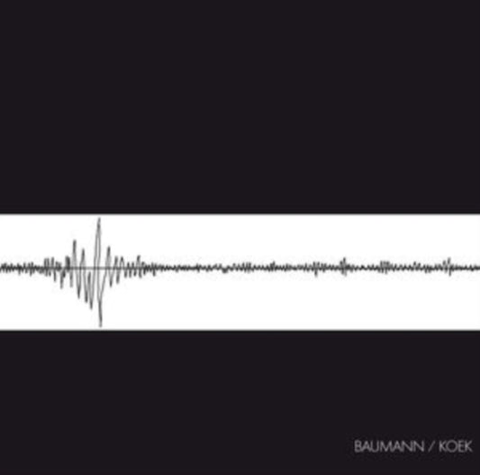 Baumann / Koek - Baumann / Koek (Vinyl)