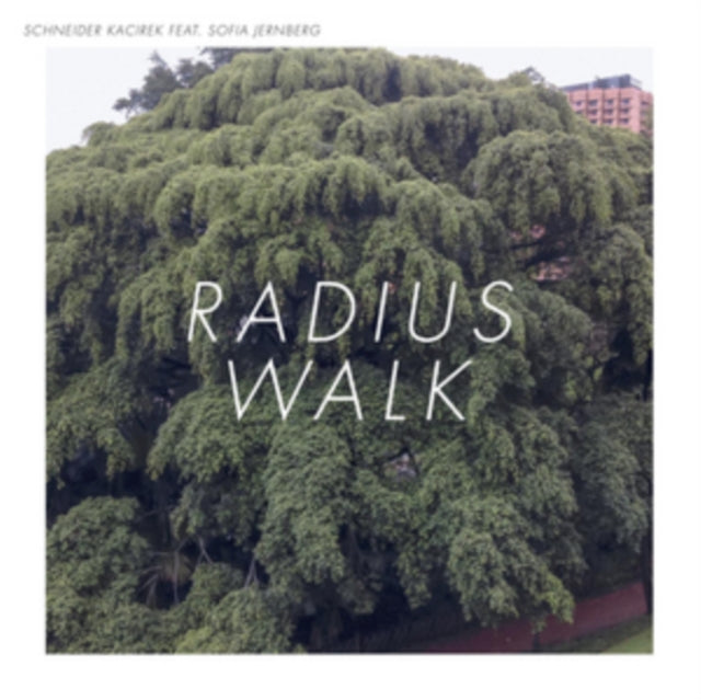 Schneider Kacirek - Radius Walk (CD)