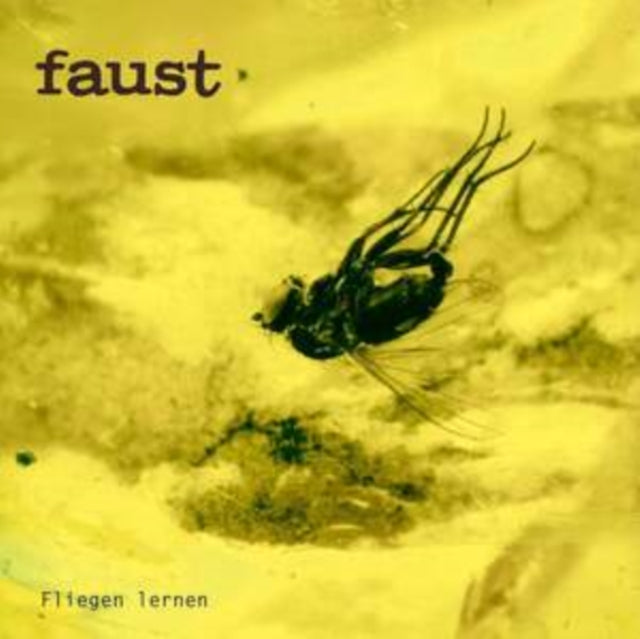 Faust - Fliegen Lernen (Curated By Gunther Wusthoff) (Vinyl)