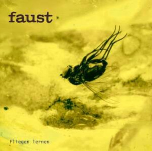 Faust - Fliegen Lernen (Curated By Gunther Wusthoff) (Vinyl)
