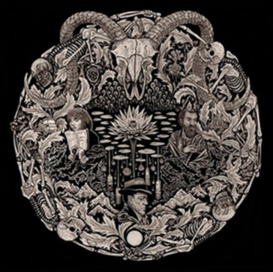 Petrels - Flailing Tomb (Vinyl)