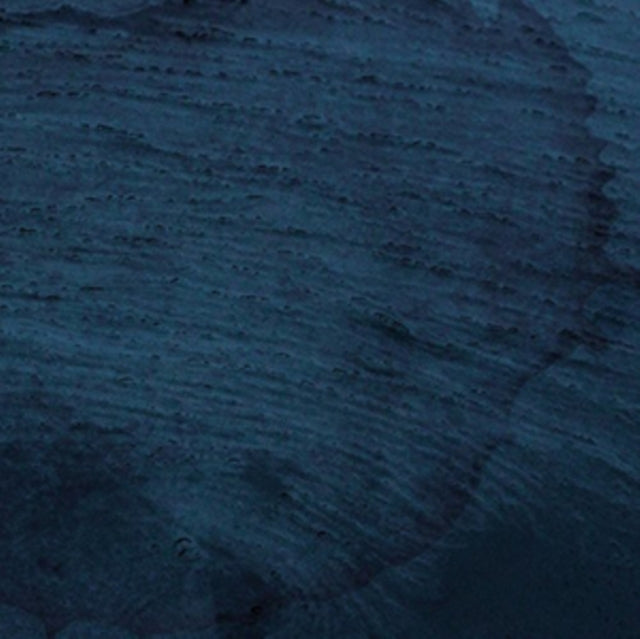 Multicast Dynamics - Aquatic System (Vinyl)