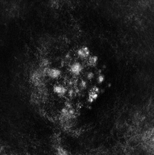 Saffronkeira - Synecdoche (CD)