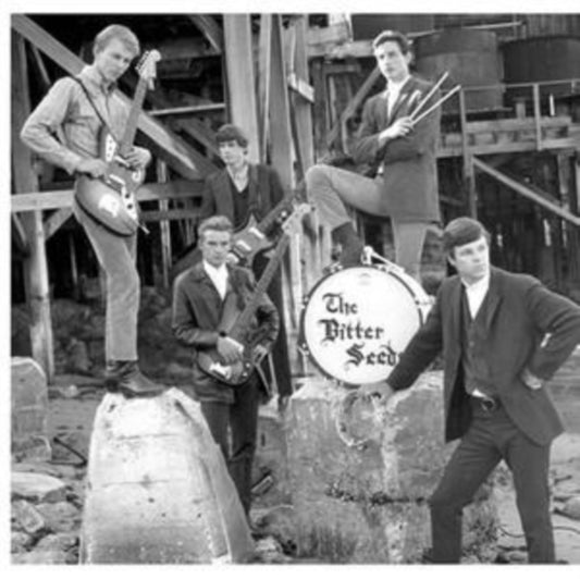 Bitter Seeds / Rock Shop - State Of Your Mind (Vinyl)