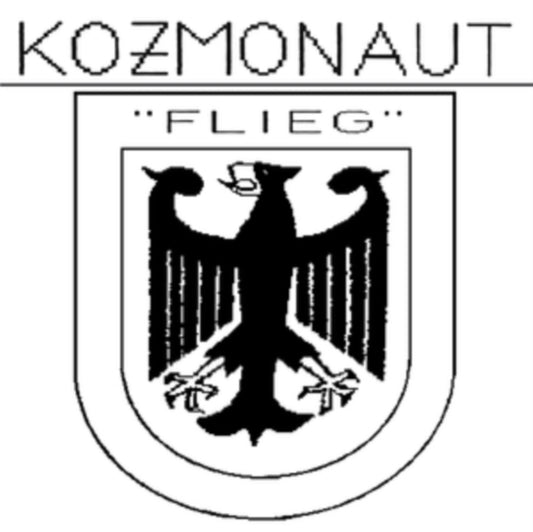 Kozmonaut - Flieg (Vinyl)