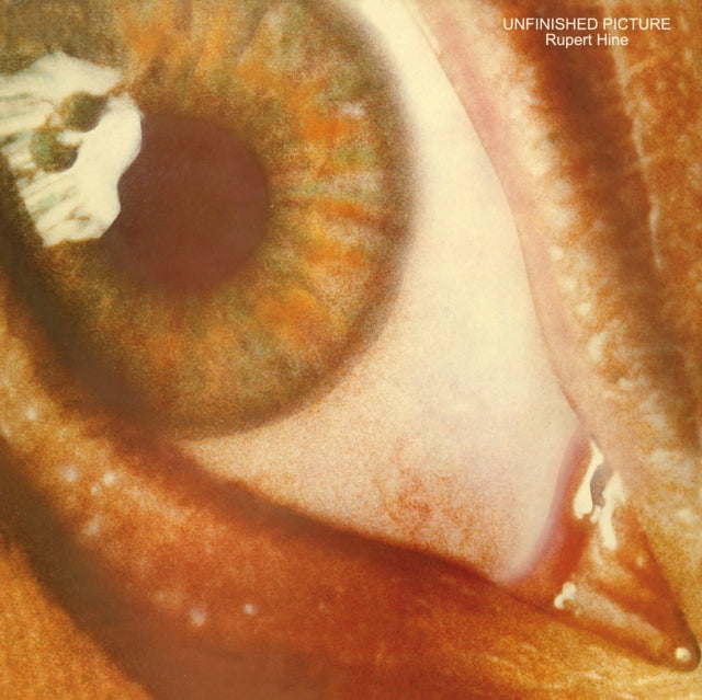 Rupert Hine - Unfinished Picture (Vinyl)